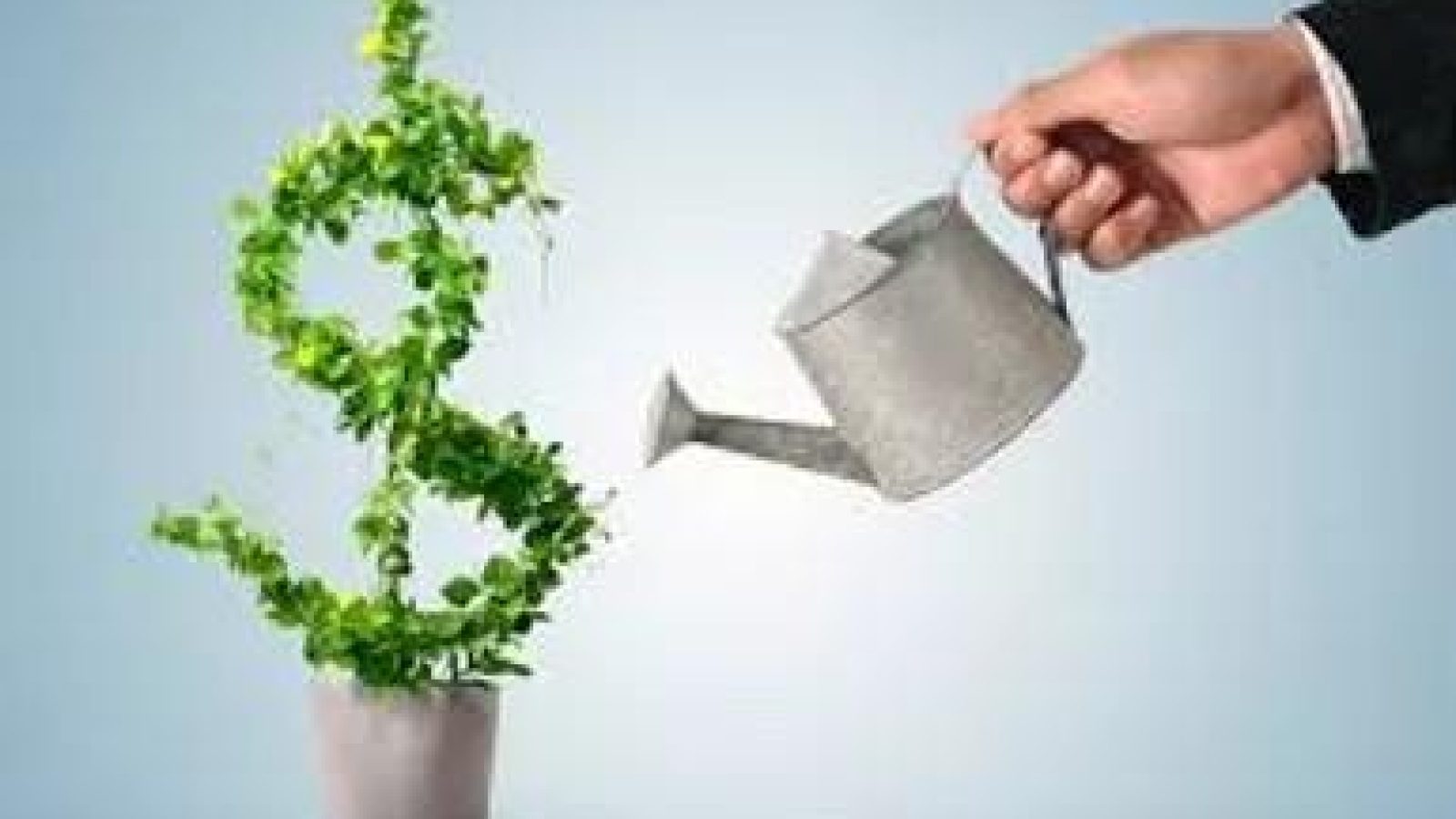 f4d40e_bbfefa8da5894c6b8e1c7d9cc7a4bd12_mv2